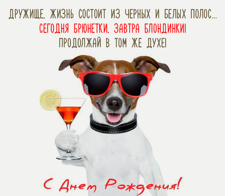 Ржачная картинка с днем рождения другу