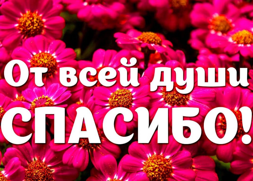 От всей души спасибо и цветы