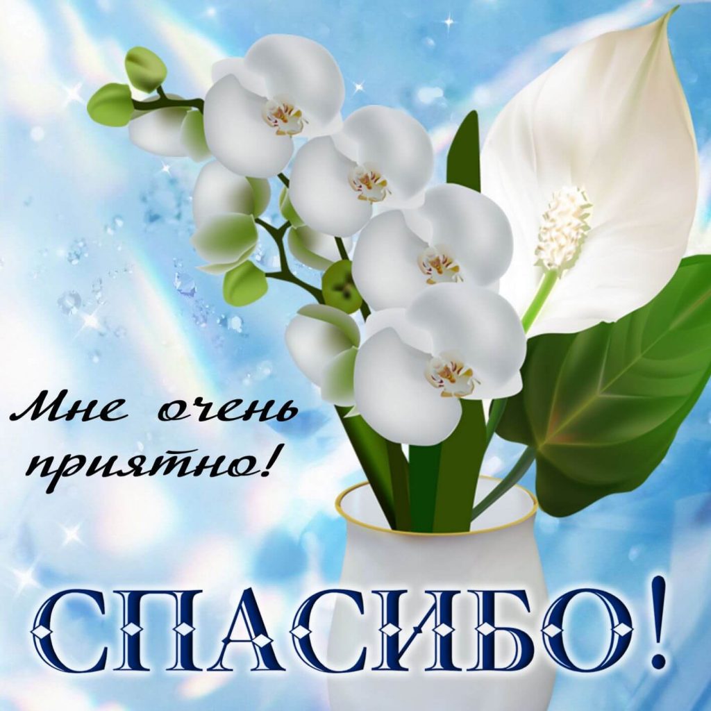 Спасибо мне очень приятно