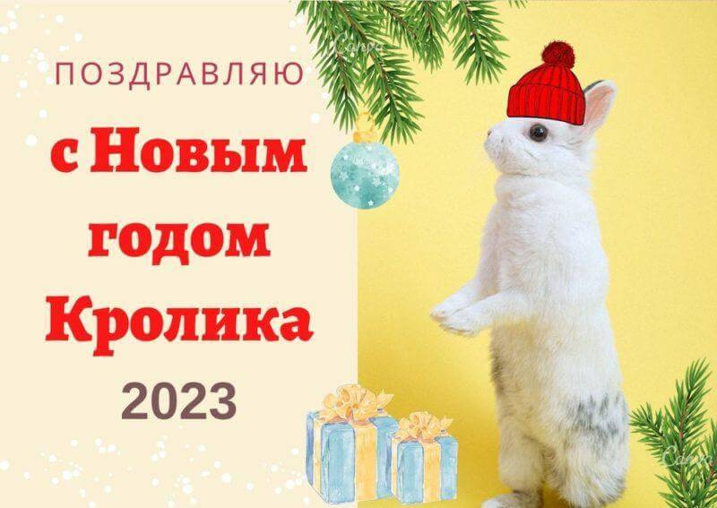 Поздравляю с Новым Годом кролика 2023
